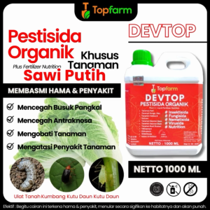 Obat Hama Putih Daun Sawi / Obat Pembesar Tanaman Sawi Putih / Obat Bercak Daun Sawi Putih / Pestisida Nabati Tanaman Sawi Putih / Insektisida Buat Daun Sawi Putih / Obat Hama Sawi Putih Terbaik