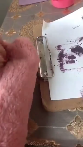 Plush Pencil Case Cute Organizer with Zipper for Student Pencil Bag for Girls School Supplies Stationery Box