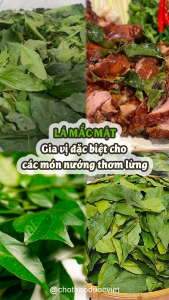 Lá mắc mật khô 500g (móc mật gia vị ướp thịt nướng Tây Bắc)