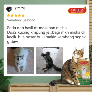 MISHA Dry Cat Food 8kg x 1 Pack
