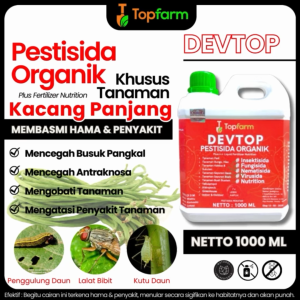 Obat Hama Untuk Kacang Panjang / Obat Hama Kutu Daun Kacang Panjang / Obat Pembasmi Hitam Kacang Panjang / Obat Hama Kutu Hitam Kacang Panjang / Obat Hama Buat Kacang Panjang /Obat Kacang