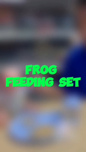 Hntob 12M+ 4 In 1 Plastic Plate Spoon Frok Mug Set Frog Shape Feeding Bowl Baby Tableware