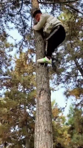 เครื่องมือปีนต้นไม้ สำหรับการสังเกต เก็บผลไม้