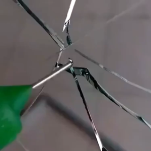 buy 2 get 1 free 24 hours delivery in Malaysia Car Glass Nano Repair Fluid  Automotive  Resin Original Windscreen Repair Kit 汽车纳米修复液玻璃裂缝修复工具