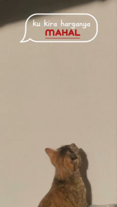 Baju Setelan Kuromi Four Face Anak Perempuan Sweatpants Cargo Usia 3-12 Tahun