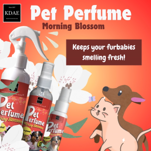 KDAE Pet Perfume / Cologne Spray Morning Blossom 250 ml