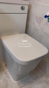 Thanh thả bồn cầu hoa bạch đàn Astonish C2115