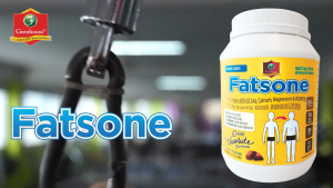 FATSONE - Whey Protein (900grams) - Nutrition Protein Powder - Weight Gainer - Build Muscle