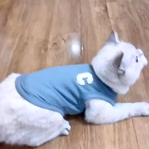 【Get the Perfect Fit】 Whisker Puppy Summer Clothes Dog Clothes for Shih Tzu Male and Famale Breathable Pet Clothes Pet Cat Small Thin Dog Vest