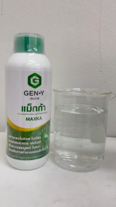 แม็กก้า 1L. รูปแบบเนื้อเจล สร้างคลอโรฟิลล์ ใบเขียวสมบูรณ์ เร่งการสะสมอาหาร เร่งใบแก่ เพิ่มความสมบูรณ์ ใบหนาใหญ่ เสริมการทำงานของเอ็นไซม์