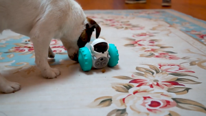 Dog Balance feeder toy Pet Interactive Treat robot Food dispencer Cat Feeder Pet Stubborn Dog Puzzle Food Leakage robot