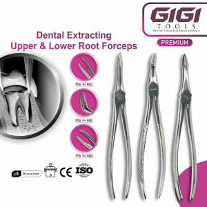 GIGI Tools Premium Tooth Extracting Forceps FIG 41 44 46 Upper Root Stainless Steel CE
