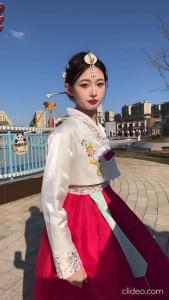 daidai (Ready Stock) Korean Korea Adult Traditional Woman Long Sleeve Dress Costume Hanbok 传统韩服朝鲜婚礼服演出舞蹈服装古装高腰大长今