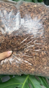 1 Bao Dừa Cắt Nhỏ 10Lit (Dừa Cục Dừa Chip) Giá Thể Trồng Cây