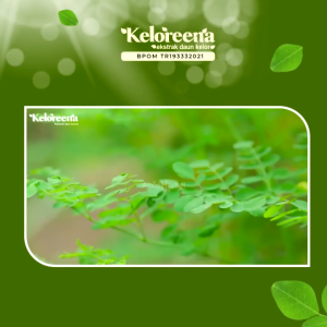 Solusi Nyeri Lambung: Ekstrak Daun Kelor & Obat Maag Kronis