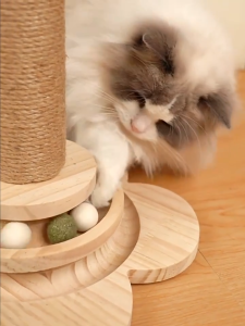 Cat Treat Dispenser Toy with Turntable Track Ball Interactive Cat Toys for Indoor Cats Kitten Wooden Cat Toy