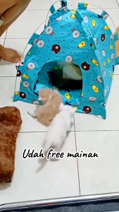 Tenda Rumah Kucing Model Lipat Banyak Motif Karakter Lucu Bonus Kasur Empuk Bisa Dicuci Aerizoo