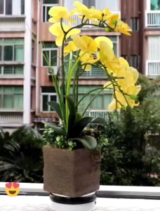 Hoa giả bình hoa lan hồ điệp cao su đẹp tự nhiên sang trọng phù hợp để bàn trang trí nhà cửa