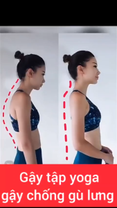 Gậy Tập Gym Yoga Chỉnh Hình Chống Gù 2 Thanh Xếp 80cm - Thingkids