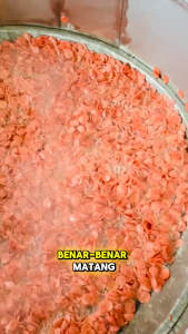 Cemilan Keripik Sosis Goreng Pedas 200 GR Pedas Gurih