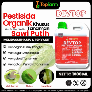 Obat Hama Kutu Putih Paling Ampuh / Obat Semprot Hama Sawi Putih / Obat Hama Sawi Putih / Obat Hama Daun Padi Putih / Obat Pembasmi Hama Putih Daun Sawi / Obat Semprot Sawi Hama Putih