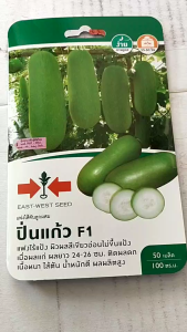 ศรแดง แฟง ปิ่นแก้ว หมดอายุ20/01/2570 จำนวน 50 เมล็ด แฟงไส้ตัน ลอตใหม่ งอกดี ผิวผลสีเขียวอ่อนไม่ขึ้นแป้ง เนื้อหนา ไส้ตัน