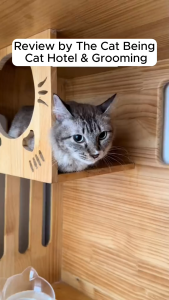 PAWSONA Calming Spray for Cat 100ml | Effective to Reduce Stress Anxiety & Scratching Feline Pheromone Travel Friendly