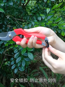 De Xian 903 Pruning Shears Garden Scissors Pruner