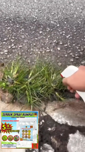 Dr Settle Rumput Liar Spray Serbuk Menghapuskan Rumput Grass Control Spray 150G