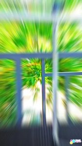 3 Pairs Didos Terno Sando Pajama for Girls Infant/Newborn Clothing Set Pure Cotton Cute Characters 0 to 3 months