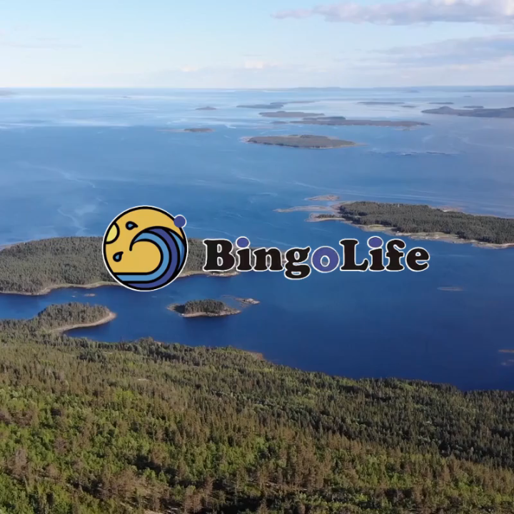 Senar Pancing Nilon Jepang Biru Langit 200m Kuat Tahan Aus Fishing