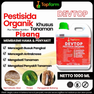 Obat Pembasmi Hama Pohon Pisang / Obat Hama Wereng Pohon Pisang / Obat Buat Jamur Pohon Pisang  / Obat Untuk Penyakit Buah Pisang / Obat Hama Pisang / Obat Semprot Khusus Pisang