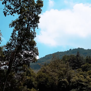 ARCTIC HUNTER B00536 Tas Ransel Casual 15.6 Inch Backpack Bag Multilayer School