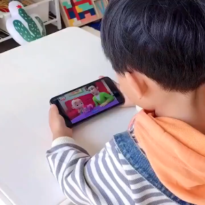 【SG】Talking Flash Cards English Early Educational Learning Montessori Cognitive Toy (2-6+ Years)