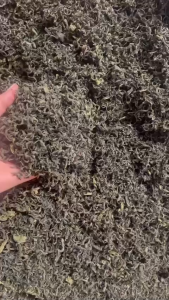 Trà Thái Nguyên Tân Cương 500g trà bắc đặc sản cao cấp thượng hạng quà biếu tặng loại 1 Chè xanh Tân Cương