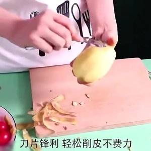 Pengupas Keluli Tahan Karat Dapur Pelbagai Fungsi/Stainless Steel Peeler Kitchen Household Multifunctional Fruit Peeling