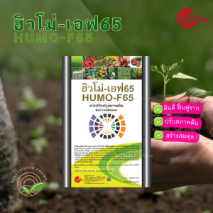 ฮิวโม่เอฟ65 (50กรัม) สารอินทรีย์ปรับปรุงสภาพดิน สารฮิวมิค สารเร่งราก ปรับสภาพดิน ฮิวมิค แอซิด และ ฟูลวิค แอซิด