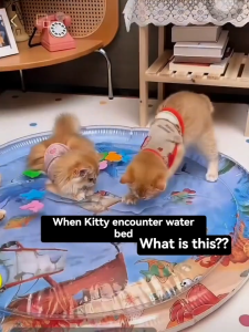 HATELI Pet Cooling Mat Water Bed Cushion Summer Ice Pad Dog Sleeping Round Mat for Puppy Dogs Cats Pets Inflatable Sensory Play Mat for Children Both Use for Cold and Warm Water(under 40℃) Random Color