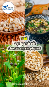 Hạt ý dĩ 1kg y dĩ nếp hạt bobo nấu cháo chè hầm gà pha trà lợi sữa sau sinh bồi bổ sức khỏe