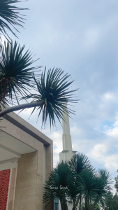 Sara SARA TIPE YOGA Flat Shoes: Sepatu Flat Wanita Lentur Terlaris