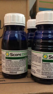 Score 250EC 250ml Fungisida Syngenta Ampuh