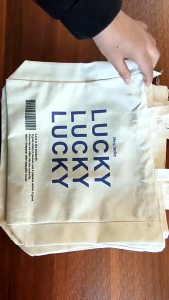 {Local shipping} Canvas Crossbody Student Bag Large Capacity Tote Bag Portable Canvas Aesthetic Bag 2015-5#