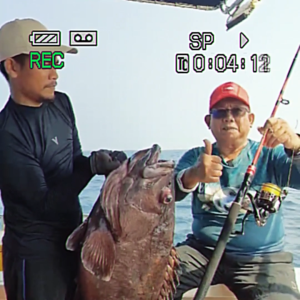 Reel Pancing Spinning Paradise War Power Handle High Quality Ball Bearing | Gulungan Pancing | RWR