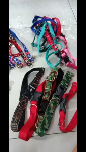 Dây vòng cổ chó mèo thú cưng