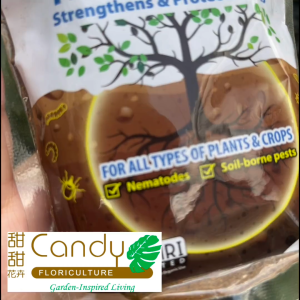 (SG Seller) MR GANICK Neem Cake 200g (Baba) Organic fertilizer with systemic pest prevention