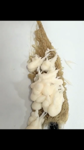 ครีมนวดผม  ครีมนวดผม  มาส์กผม  เอสเซ้นดูแลผม 500ml คุมน้ำมันขจัดรังแค  ผมนุ่มฟูมีน้ำหนัก  ผมนุ่มสลวย กลิ่นหอมติดนาน Conditioner