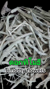 ทิมโมธีคัดดอก เกรดพรีเมี่ยม Timothy Hay Flowers