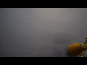 1000pcs Blank Jewelry Price Tag Self-adhesive Jewelry Label Sticker For Ring Necklace Earring Ring