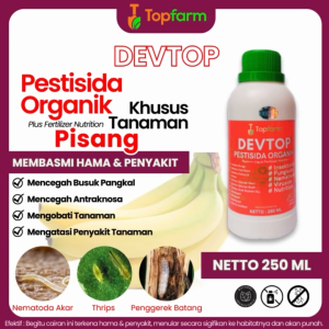 Cara Mengatasi Penyakit Pada Pohon Pisang