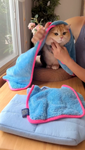 พอว์พอว์ เซ็ตผ้าไมโครไฟเบอร์สัตว์เลี้ยง [BOX SET สีฟ้า] PAWxPAW Blue Collection